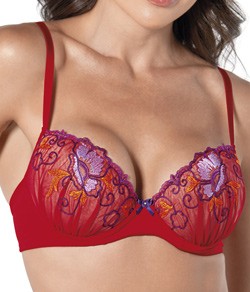 Suti� com Bojo Bordado DeMillus Rouge (67791)