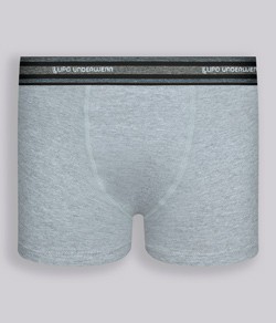 Cueca Boxer Infantil Cotton Lupo Kids (00141-003)