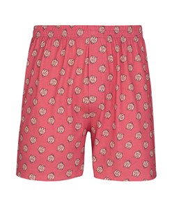 Cueca Samba-Canção Porco Toy Story Lupo Urban (16961-003) 100% Algodão