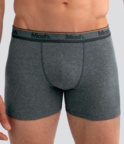 Cueca Boxer Longa Básica Algodão Mash (170.46) Cinza