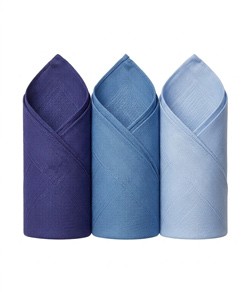 Lenços Presidente Premier (344) 39x39cm - Caixa 3 Unidades